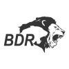 BDR Pharma