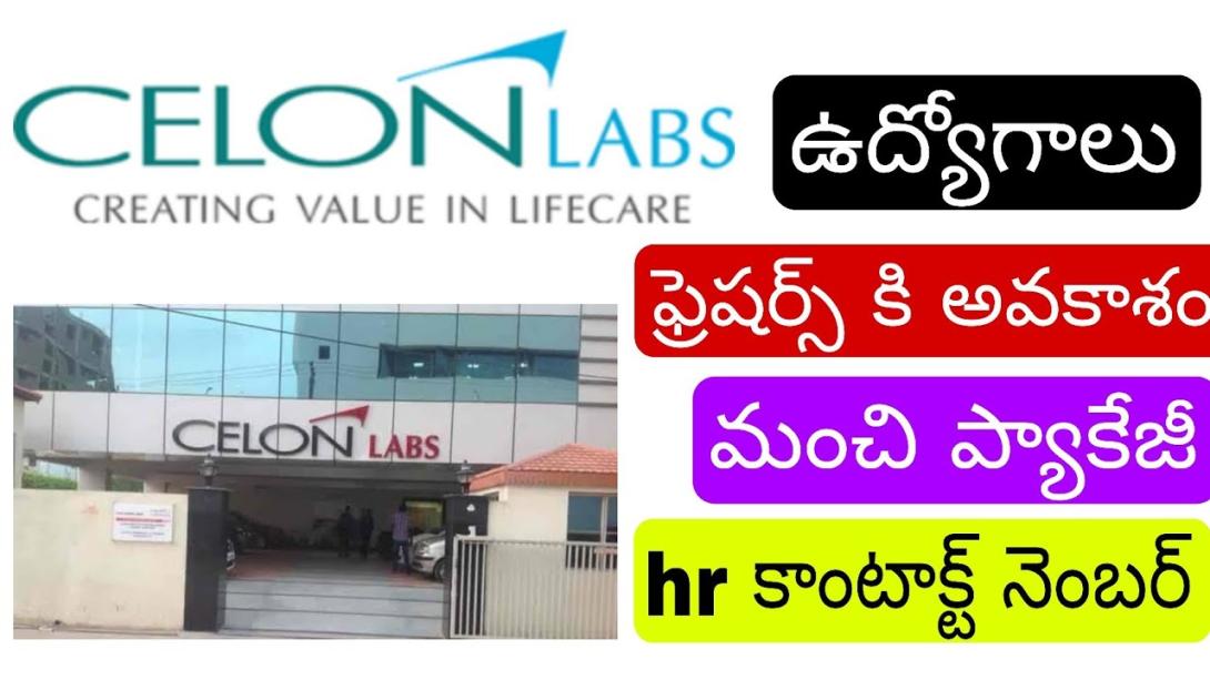 Celon Laboratories Private Limited